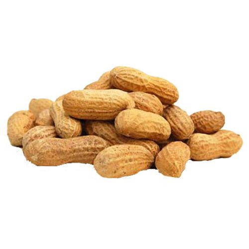 groundNUTS